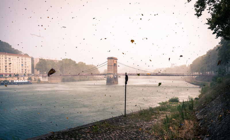 Lyon, The Capital Of Gastronomy