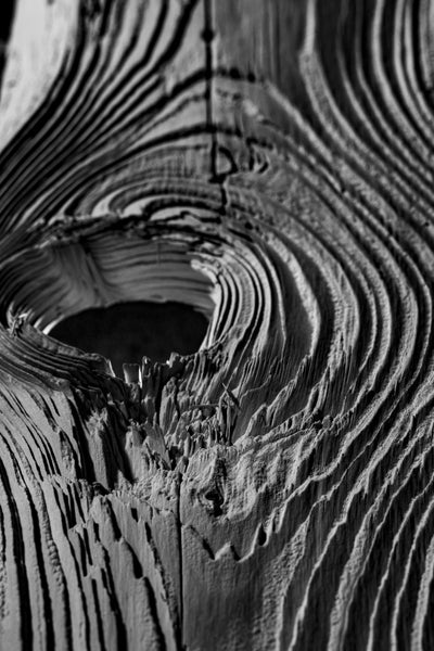 Cèdre et gourmandise : une alliance unique en parfumerie de niche